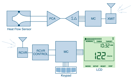 lifechek™ calorie sensor